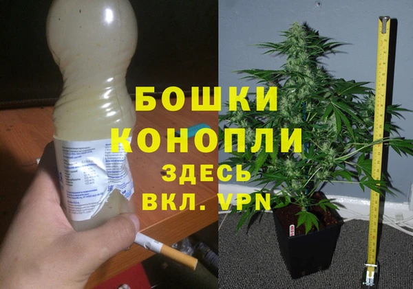 винт Армянск